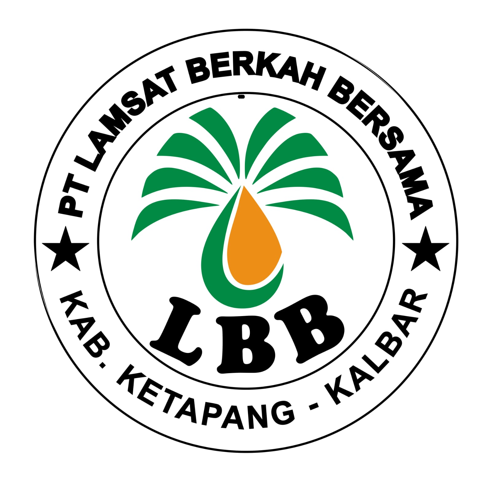 Lamsat Logo